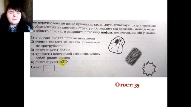 Разбор заданий с рисунками из ЕГЭ (ОРГАНОИДЫ КЛЕТКИ) смотреть онлайн