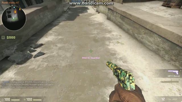 CS:GO Skin Show: M4A1-S Guardian (Winter Offensive) смотреть онлайн