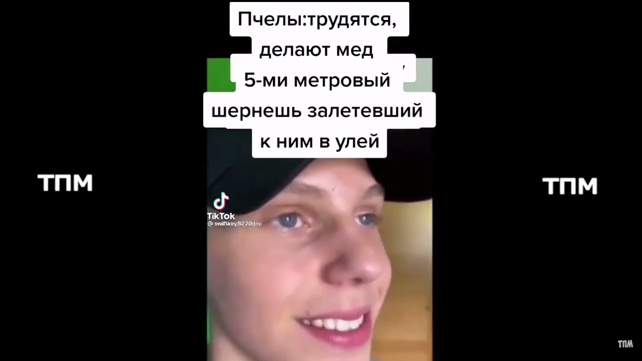 тик ток подборка мемов (159) смотреть онлайн