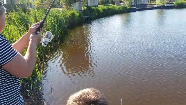 Ловля осётра. Selfish. Женщина на рыбалке