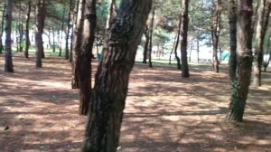 Военный санаторий пос.  Дивноморское