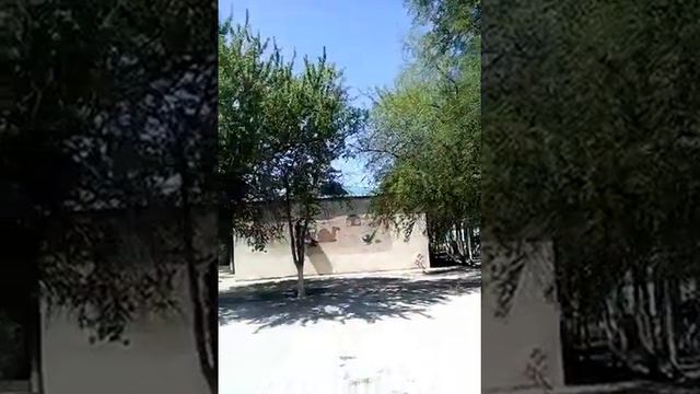 По просьбам моих подписчиков-6. Детсад "Гульнара", Джебел, Туркменистан. смотреть онлайн