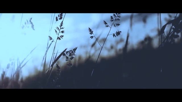 Как благодаря СМЕКАЛКЕ обмануть врага? смотреть онлайн