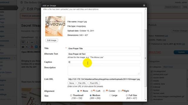 How to add Featured image in wordpress blog смотреть онлайн