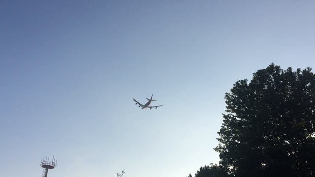 АДЛЕР. Самолет.ВЗЛЕТНАЯ смотреть онлайн
