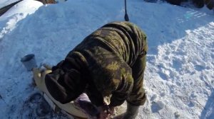 Разделка поросёнка!Весь процесс от начало и до конца!