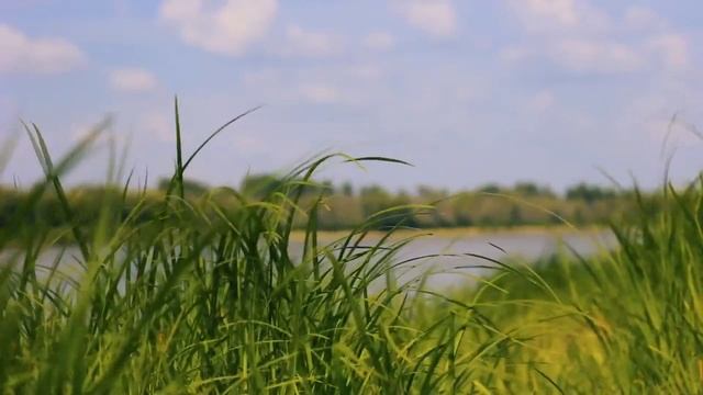 Иван - Медвяные росы 7 июня: чего категорически нельзя делать.Народные традиции и приметы.