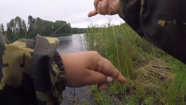 Колокольчик звенит, поклëвки|Батя уехал,резинки остались|Что мне делать, к кобыле хвост приделать? смотреть онлайн
