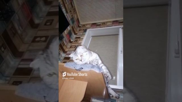 29 августа 2024 г..mp4