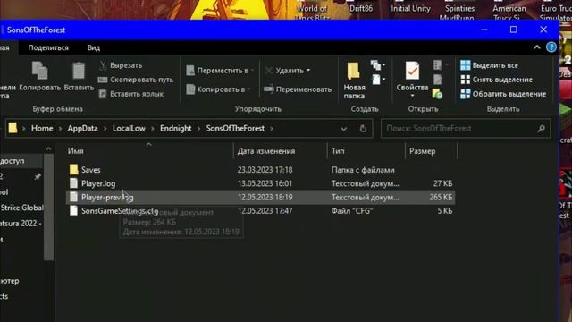 Где лежат сохранения Sons Of The Forest смотреть онлайн