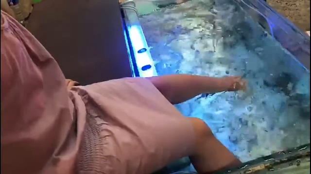 Рыбки делают массаж ступней. смотреть онлайн