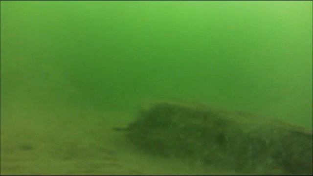 Белка 7 01 2014 глубина 8 метров смотреть онлайн