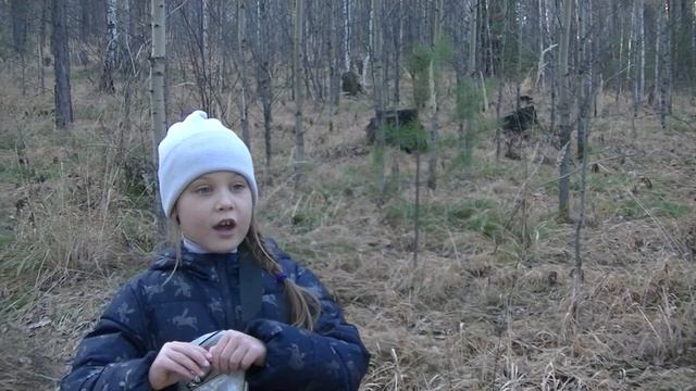 УИКЕНД НА ДАЧЕ, обрезка жимолости, приезд гостей, прогулка по лесу ? ?? смотреть онлайн