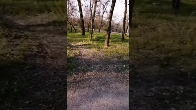 Хортица: интересные места, известные не всем дороги... смотреть онлайн