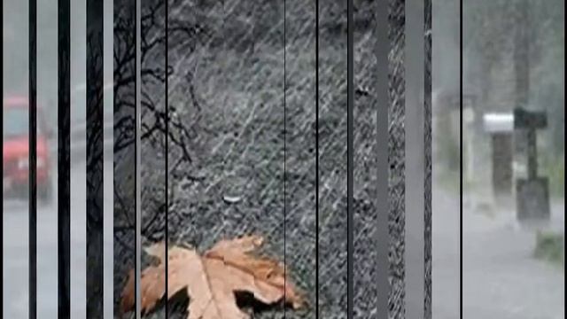 "Шатались пьяные дожди..." смотреть онлайн