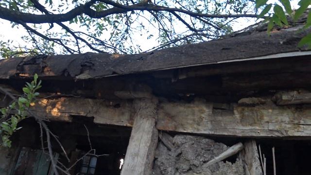 Стара хата и камыш смотреть онлайн