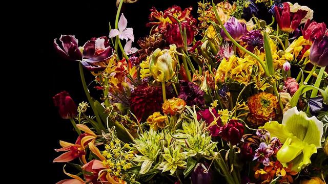 Azuma Makoto Drop Time vol.36_left_60s_loop смотреть онлайн