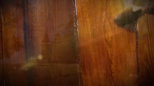 Пропитки для древесины VERES