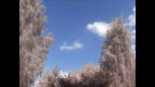 Демонстрация работы китайской IP камеры с поддержкой WI-FI