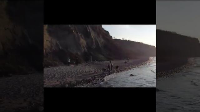 В Калининграде студенты выложили флаг РК из камней