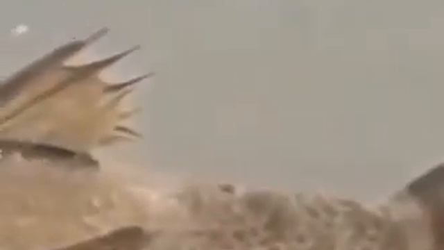 перданул с подливой смотреть онлайн