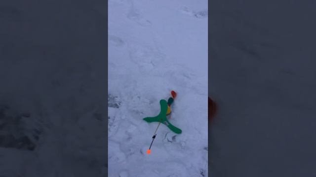 Зимняя рыбалка в Симбухово !!! смотреть онлайн