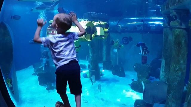 Fabulous world of LEGOLAND. Denmark.Episode 2.Atlantis смотреть онлайн