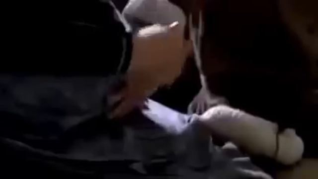 Carl & Bertha Ganzer Film HD