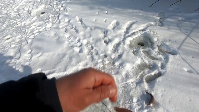 Лещ, окунь и "просто отдых" на Суле смотреть онлайн