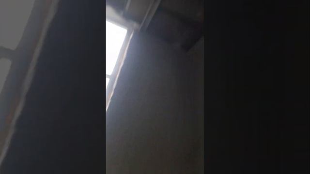 город Новосибирск улица Писарева ремонт Квартира под ключ все сложности декоративный самый красивый смотреть онлайн