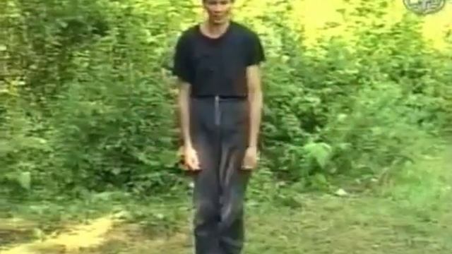 Кунг-фу:техника боя ч.66 смотреть онлайн