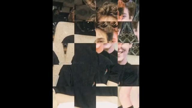 Ethan Cutkosky/carl Gallagher Edits