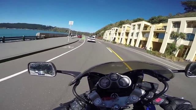 EPISODE 3 | REJECTION | LANE SPLITTING? | KIWI AS BRO | смотреть онлайн