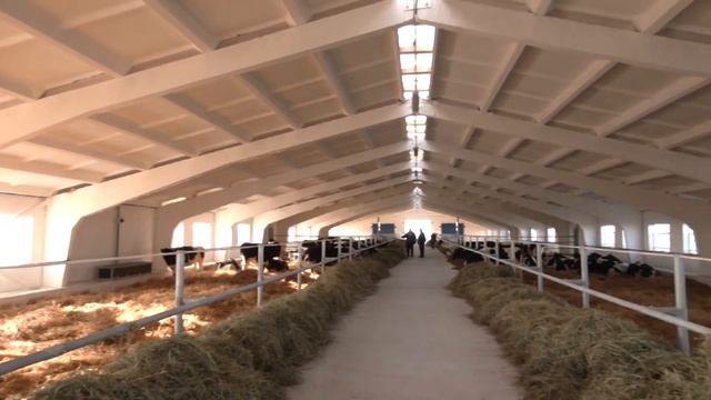 Итоги Мозырь смотреть онлайн