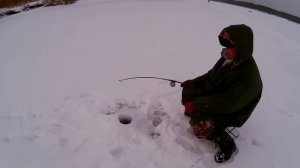 Отзыв о мотобуксировщике Мухтар 7. Езда.