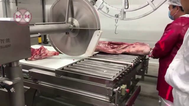 Пила дисковая циркуляционная HY-750