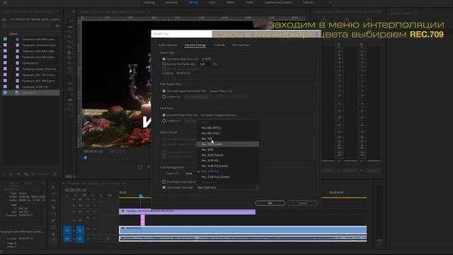 Решаем проблему с цветом в Premiere Pro CC 2022 смотреть онлайн