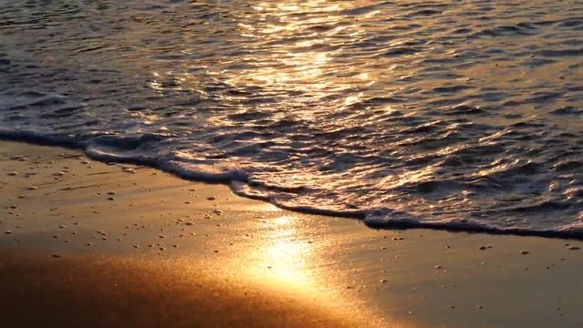 Красивая подборка волн и подводной фауны смотреть онлайн