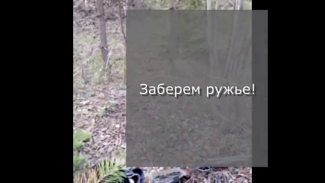 Профессиональная охота на бобра во сне. смотреть онлайн