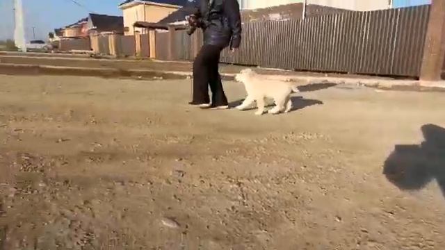 ДАРЬЯЛ-ЮГ ЧИЛИМ 2 месяца смотреть онлайн