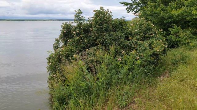 Миусский Лиман смотреть онлайн