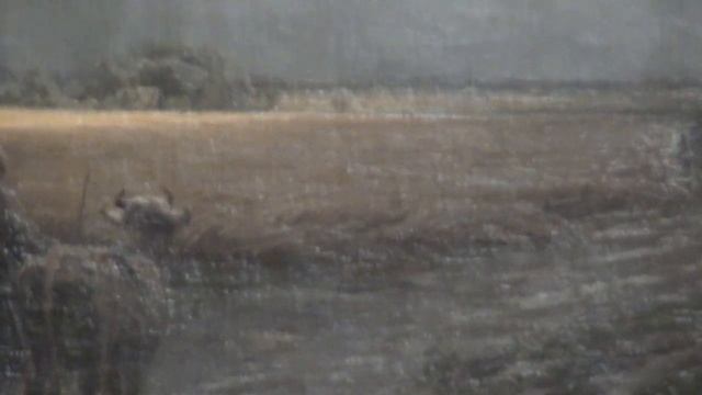 Пейзажисты второй половины XIX века_ А. Саврасов, Ф. Васильев, И. Шишкин. Онлайн-экскурсия смотреть онлайн