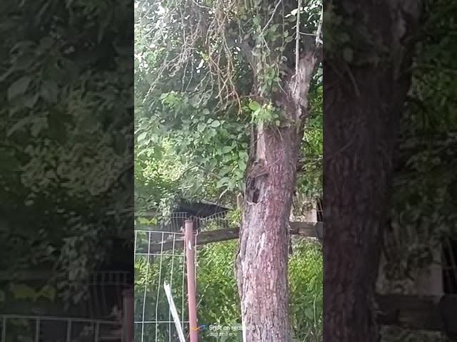 17 июля 2022 г. смотреть онлайн