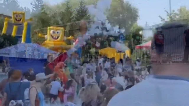 Показательные выступления клуба ОЦССС в честь Дня г. Омска. Немецкая овчарка Блекберихаус Дейенерис смотреть онлайн