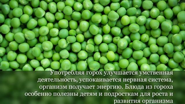 И это всё зелёный горошек!? смотреть онлайн