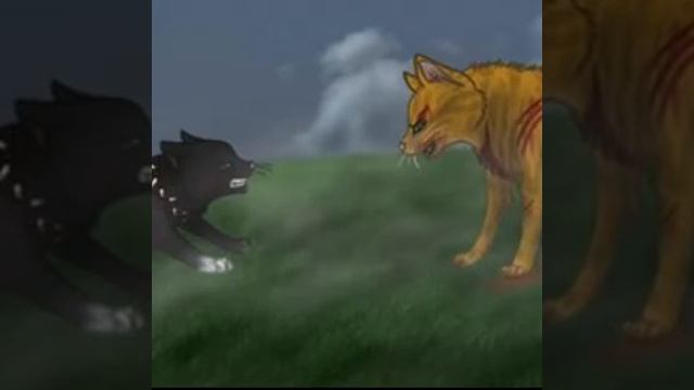 Ежевика,Коршун,Звездоцап я чувствую монстра смотреть онлайн