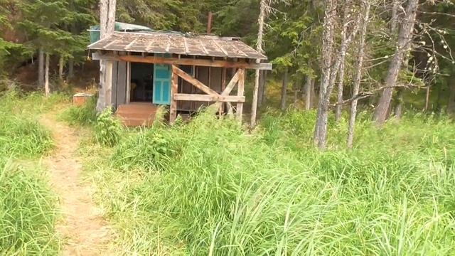 Нерест горбуши и дорога на р. Учур смотреть онлайн