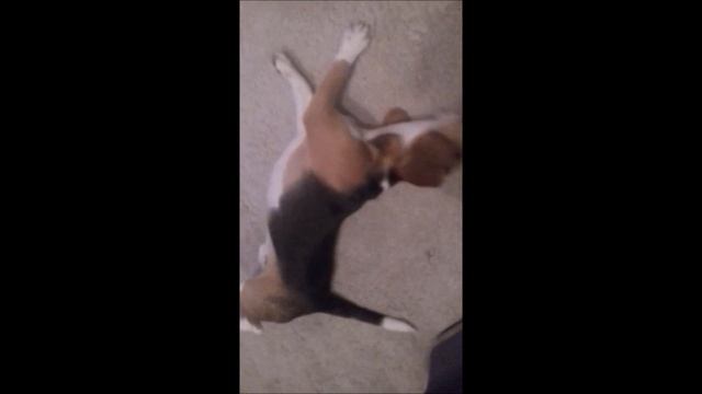 Утренняя гимнастика. Как правильно вставать с постели. смотреть онлайн