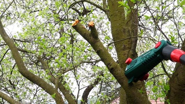 Co zvládne PARKSIDE AKU teleskopická pila PAHE 20-LI B2 - Odvětvovač z Lidlu смотреть онлайн