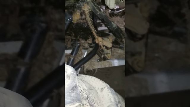 Ремонтный институт и практика